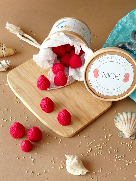 Wax Melts Nice